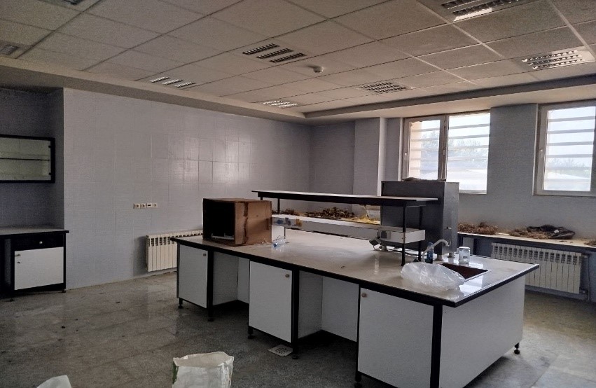 Third Responsive Image