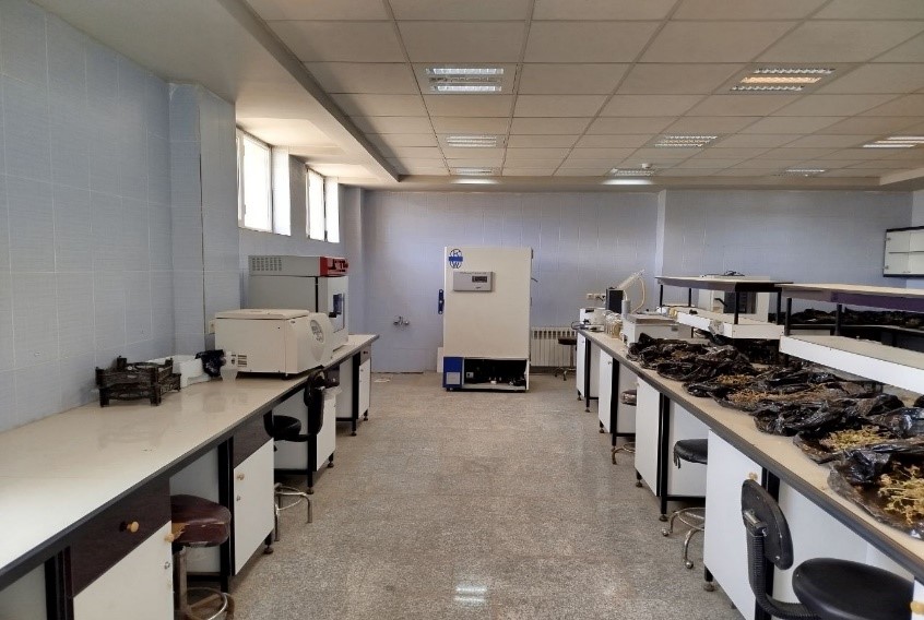 First Responsive Image