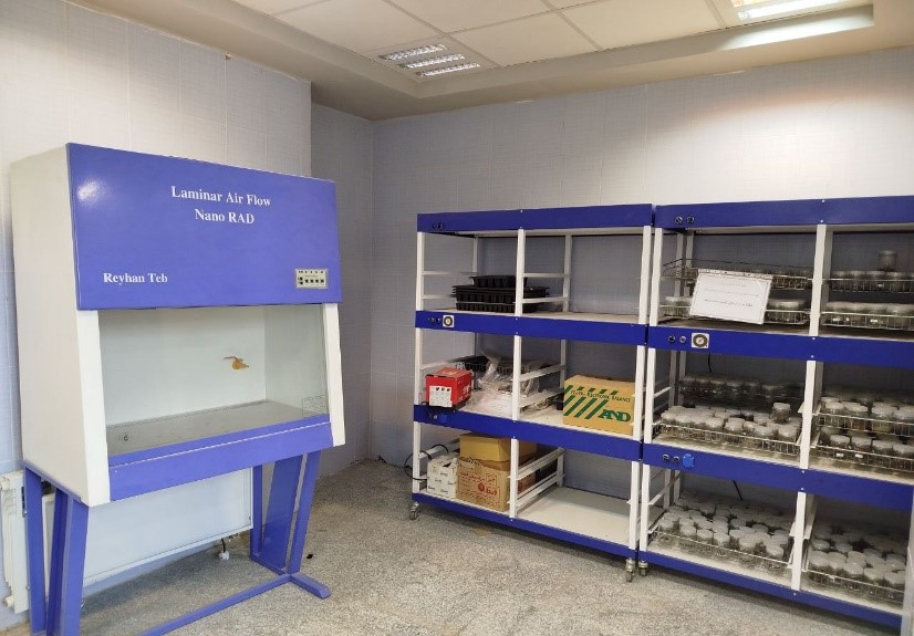 Third Responsive Image