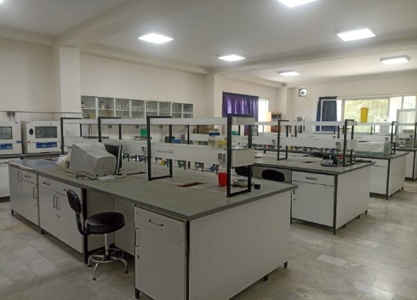 Third Responsive Image