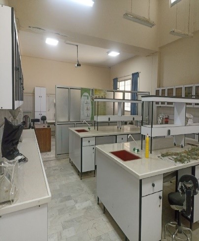 Third Responsive Image