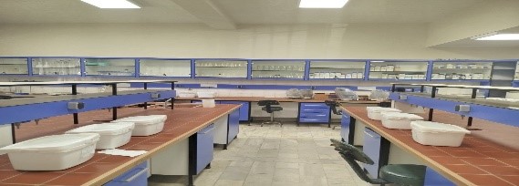 Second Responsive Image