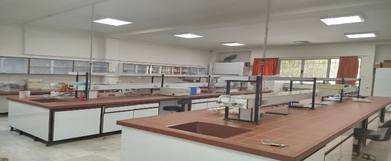 First Responsive Image