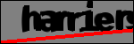 متن برای شناسایی